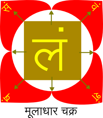 First Chakra Muladhara for Spirit Yoga blog